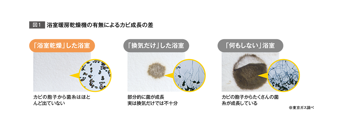 浴室暖房乾燥機の有無によるカビ成長の差